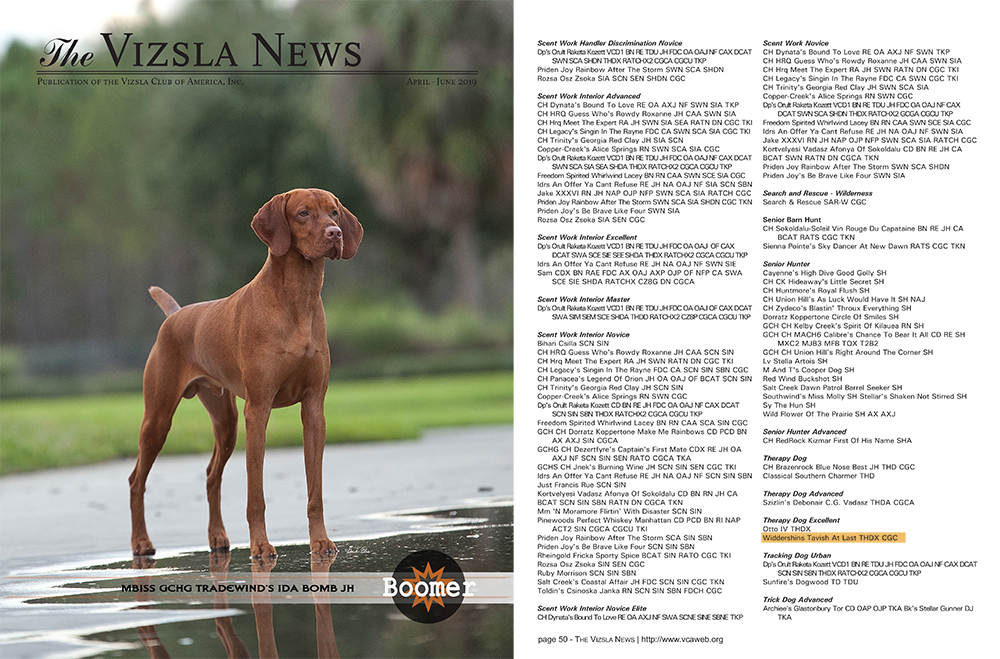 Tavish listed in Vizsla News