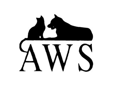 AWS logo