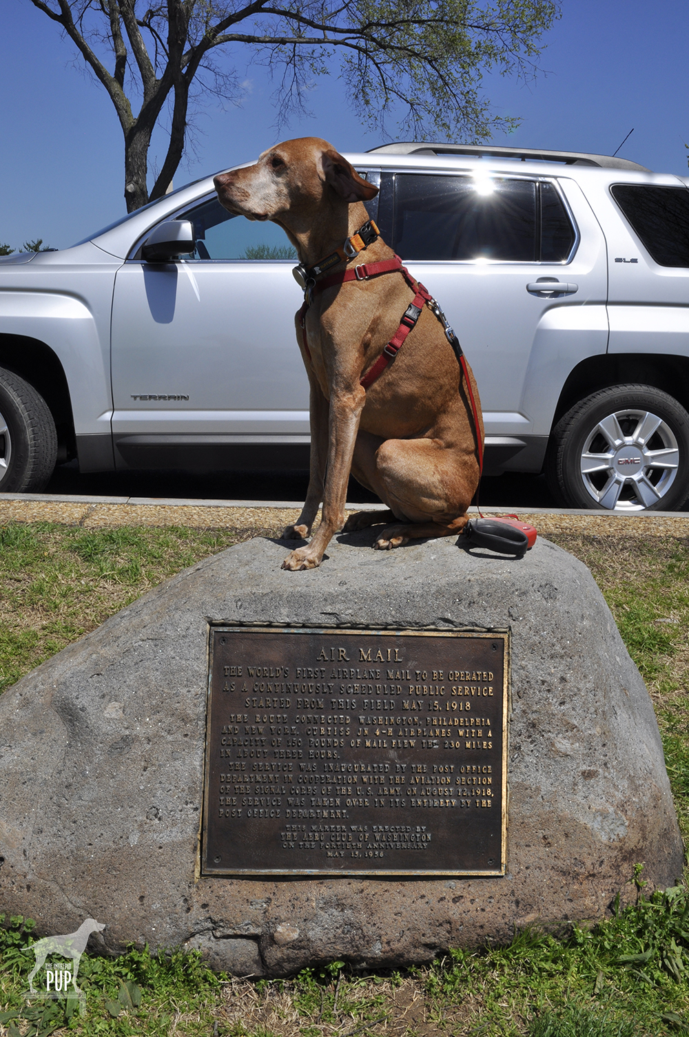 Tavish at Air Mail Marker