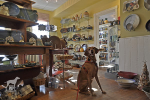 Tavish at Annapolis Pottery