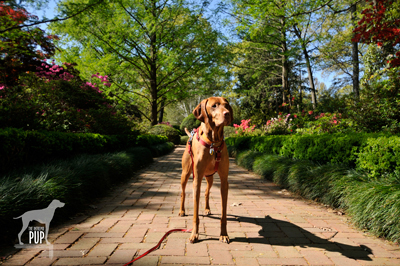 National Arboretum