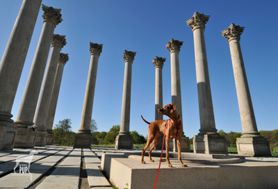 National Arboretum