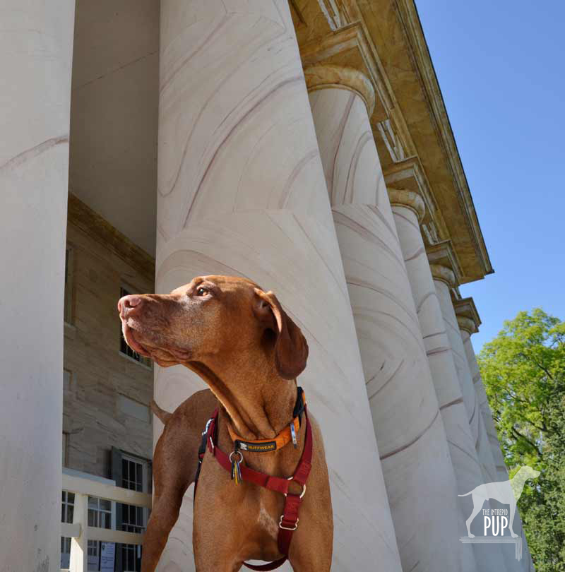 Arlington House: The Robert E. Lee Memorial