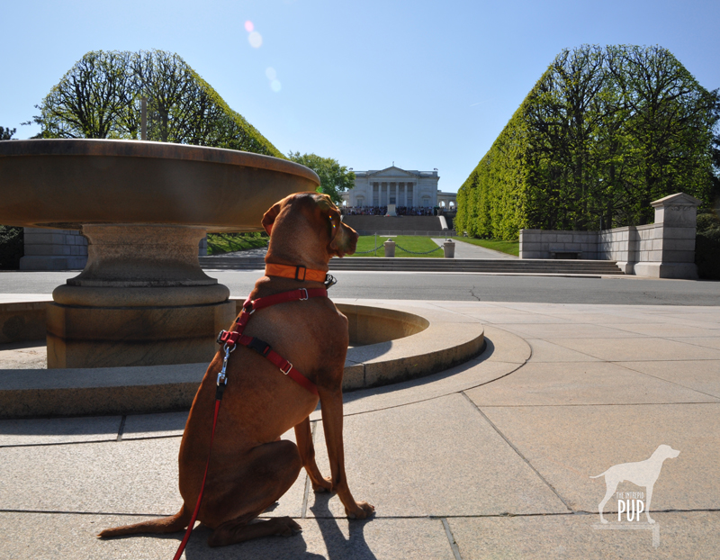 Arlington National Cemetery: Tomb of the Unknowns