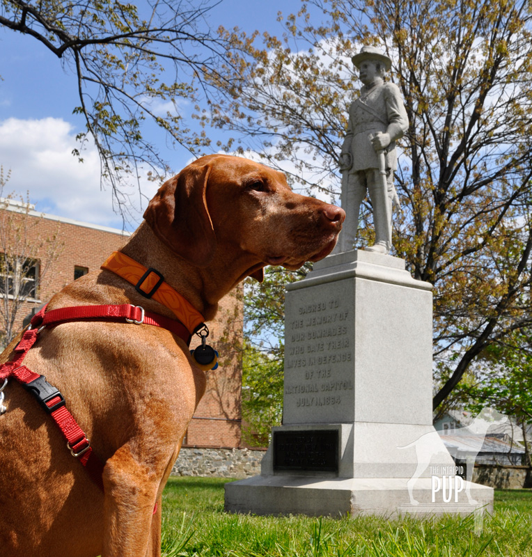 Tavish at Battleground National Cemetery