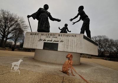 Mary McLeod Bethune memorial in Lincoln Park