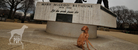 Mary McLeod Bethune statue