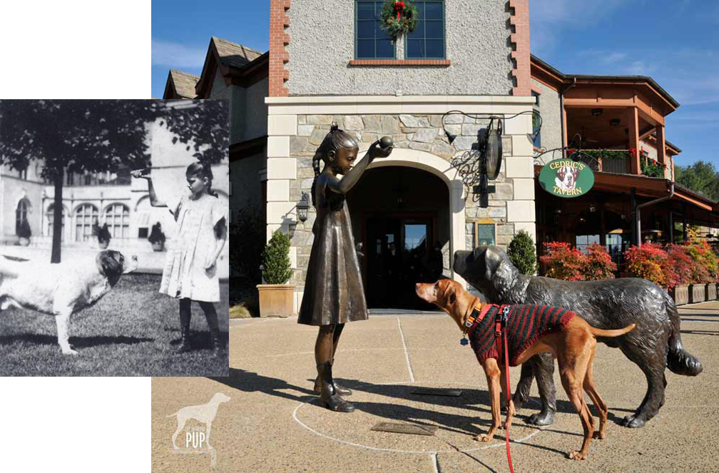 The Biltmore's dog-friendly legacy