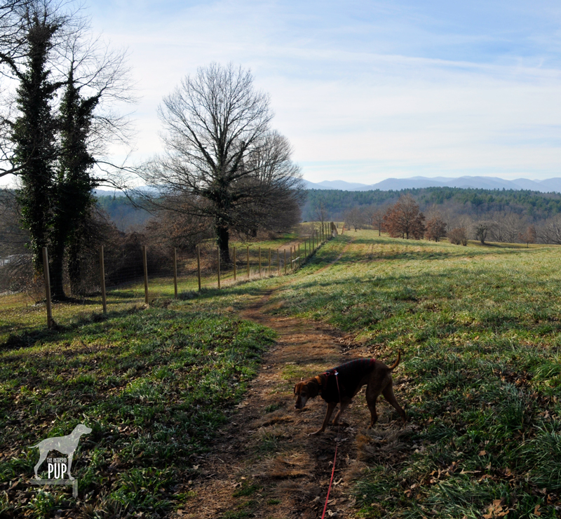 Deer Park Trail