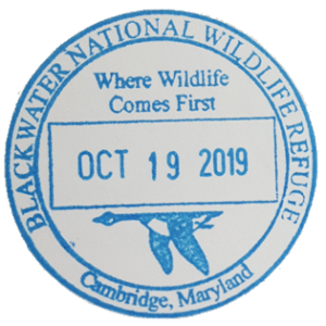 Blackwater National Wildlife Refuge stamp
