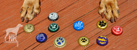 Tavish with dog-based brewing company's bottle caps