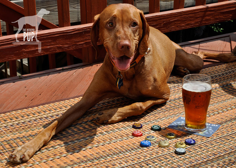 Tavish with Intrepid Pup pint glass and bottle caps from dog-inspired breweries