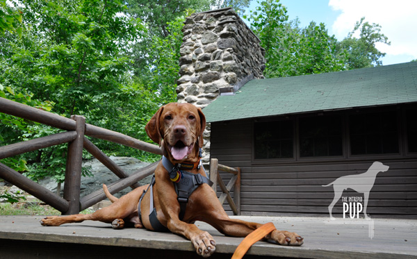 Brown House at Rapidan Camp