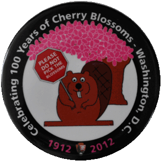 Cherry Blossoms pin