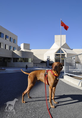 Embassy of China