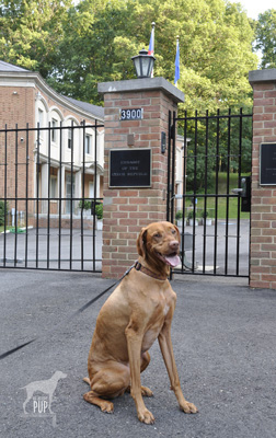 Tavish at the Czech Embassy