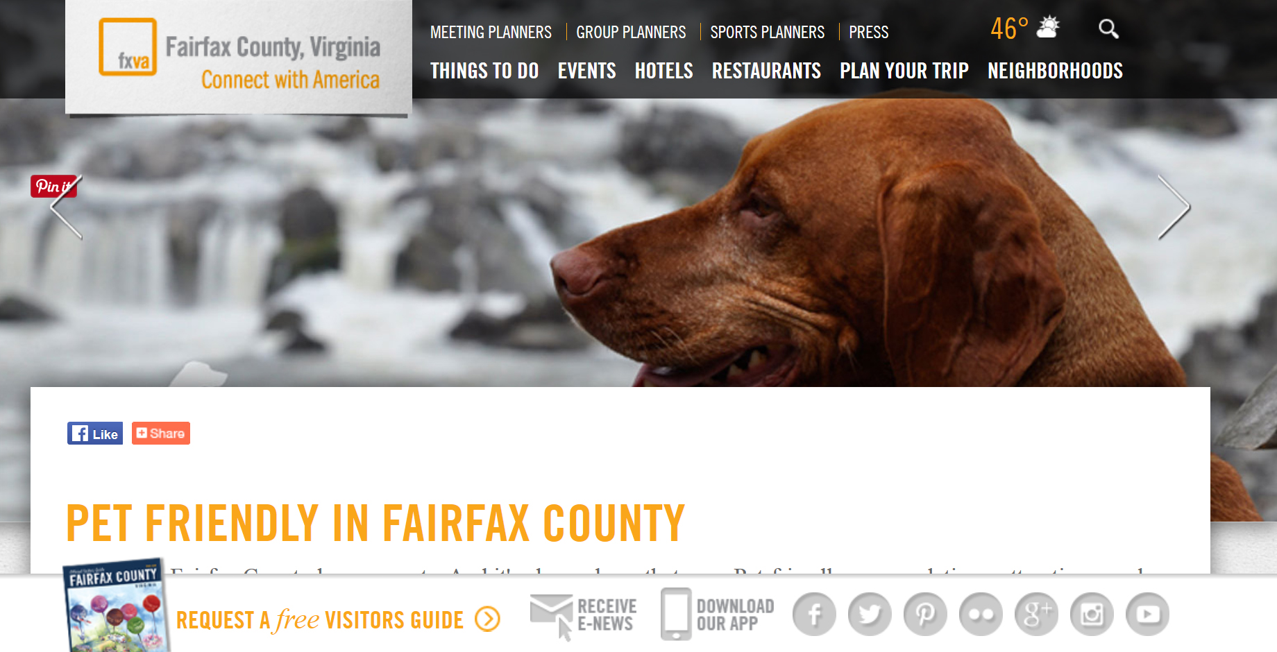 Tavish as "poster dog" for Visit Fairfax