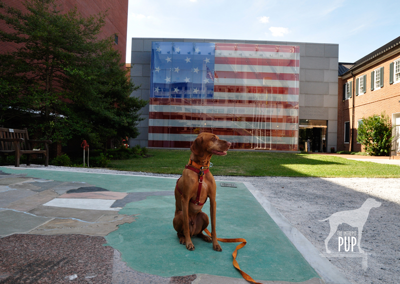 Tavish at the Star-Spangled Banner Flag House