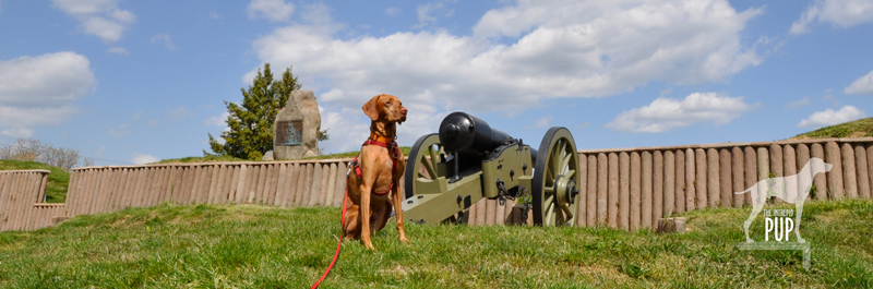 Tavish at Fort Stevens