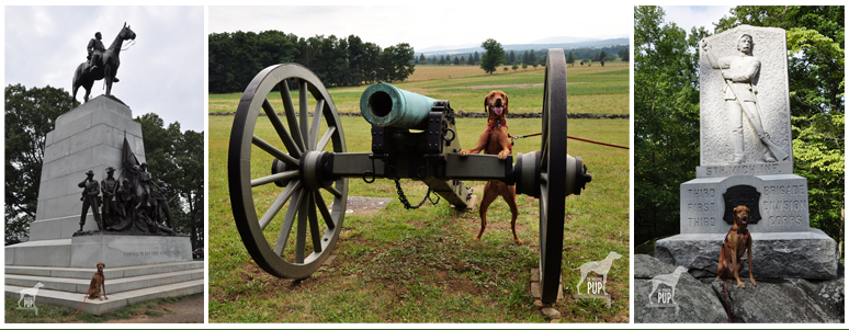 Gettysburg_collage