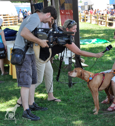 HungarianTV_2013FolklifeFestival