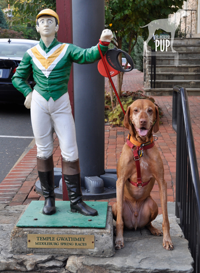 Hunt Country lawn jockey