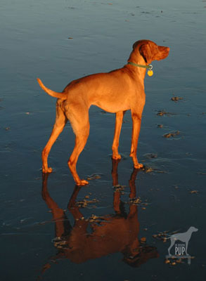 Kennebunk Beach