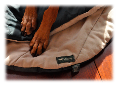 L. L. Bean dog pad