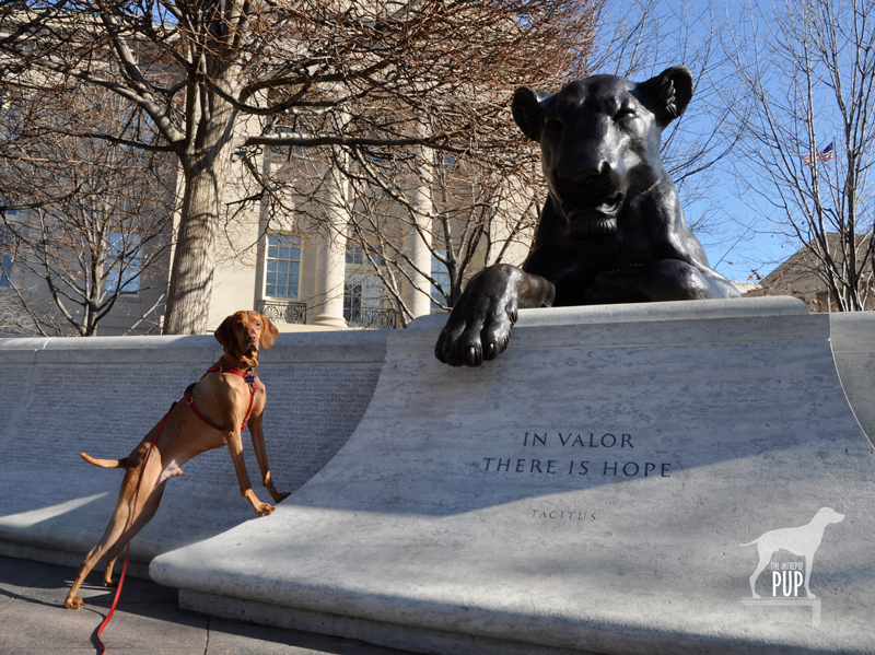 Tavish at the National Law Enforcement Officers Memorial