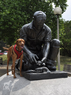 Maine Lobsterman Statue