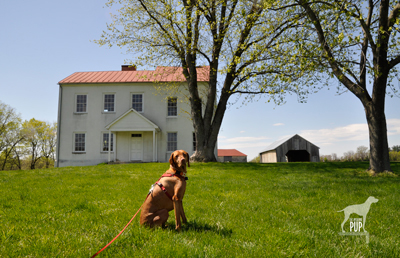 Tavish at Best Farm, Monocacy National Battlefield