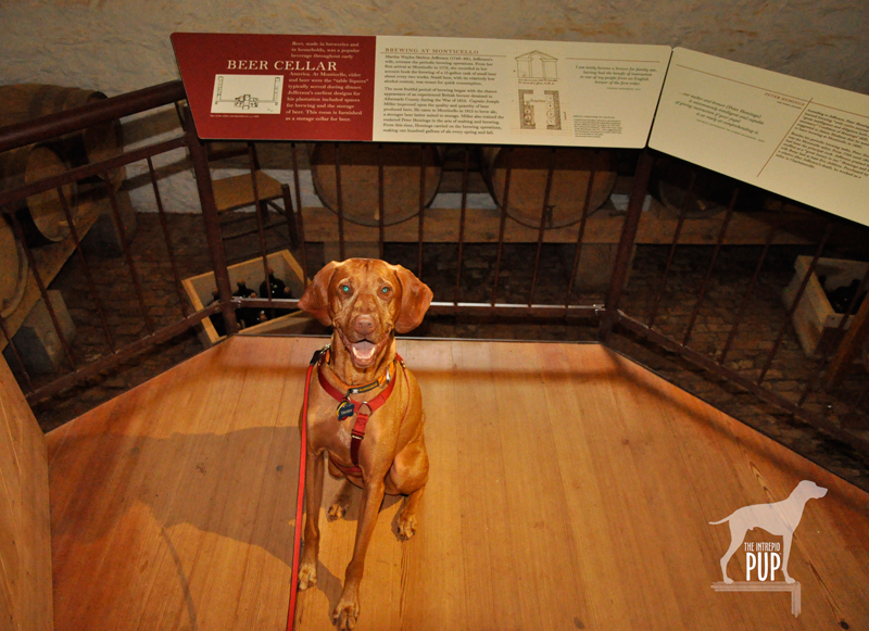 Monticello beer cellar