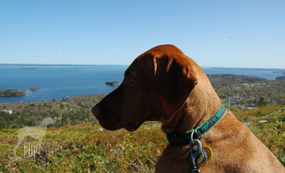 Mount Battie