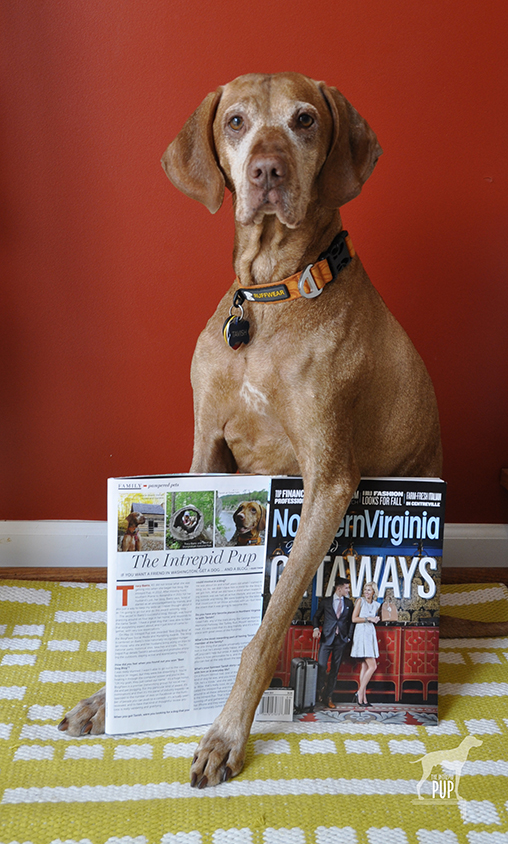 Tavish in Northern Virginia Magazine