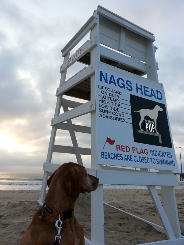 NagsHeadBeach