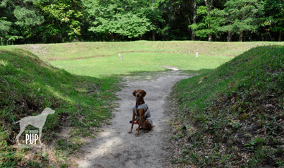 Tavish at the Lost Colony