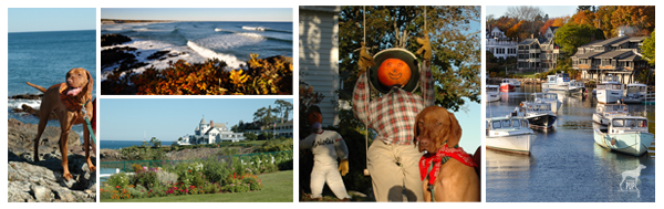 Montage of Ogunquit