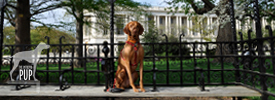 Tavish on Capitol Hill