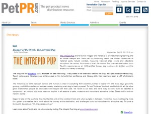 PetPR Blogger of the Week: Intrepid Pup