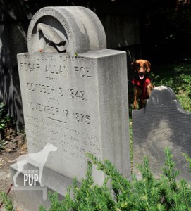 Poe gravesite