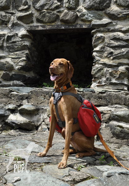 Rapidan's Outdoor Hearth