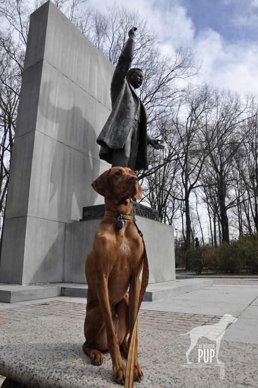 Tavish at Roosevelt Island