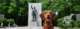 Tavish at Roosevelt Island