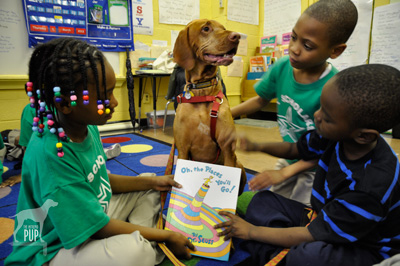 Dr. Seuss birthday reading celebration