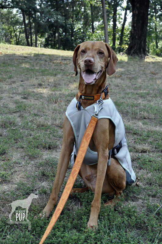 Tavish with Swamp Cooler Vest