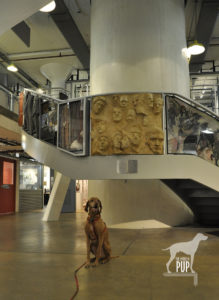 Tavish at Torpedo Factory Art Center