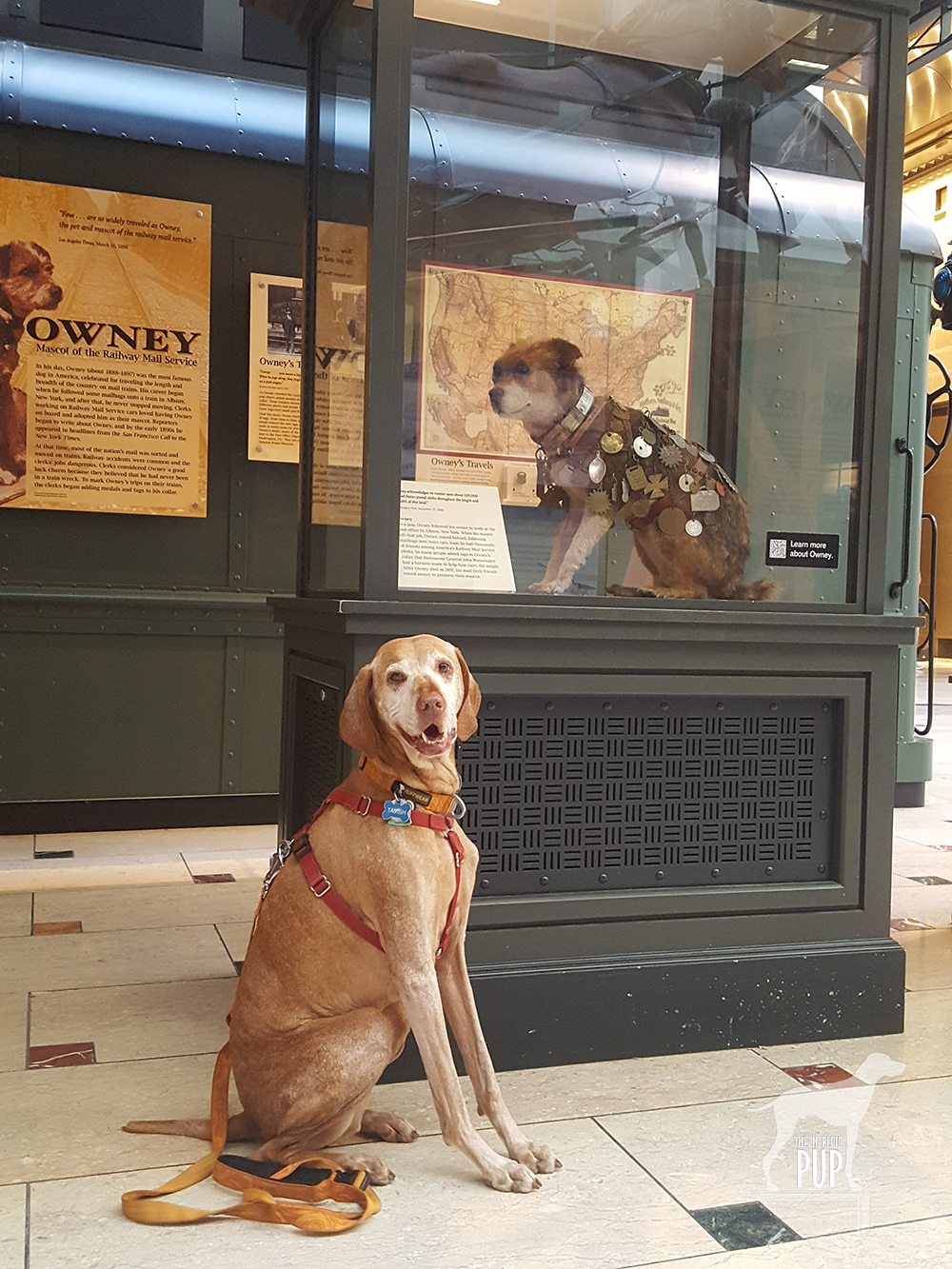 Tavish with Owney