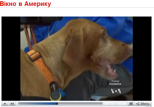 Click to see Tavish in "Window on America" Ukrainian news segment