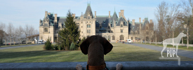 Tavish at the Biltmore