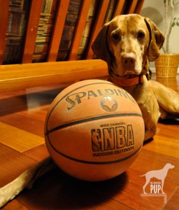 Tavish with a ball